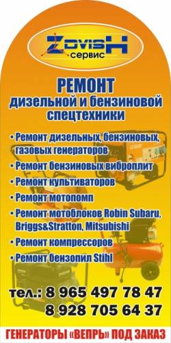 Ремонт бензиновых, дизельных, газовых генераторов, бензиновой садовой техники