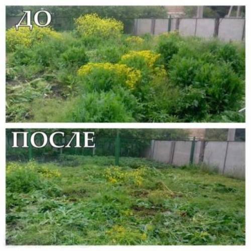 Покос травы, благоустройство территории.