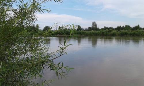 продам участок максимовщина на берегу реки