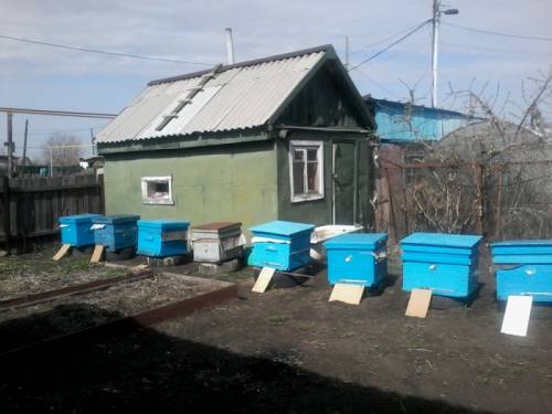 Продам дом барачного типа в спец.городке.Рядом школа,дет.сад и магазины.