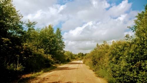 Продаю 40 гектар земли с хорошим подъездом