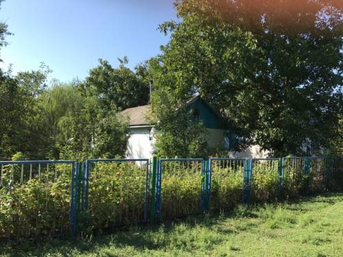 Продам дом. На участке 50соток