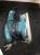шлифмашина Makita bo3700