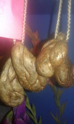 Продам струю бобра