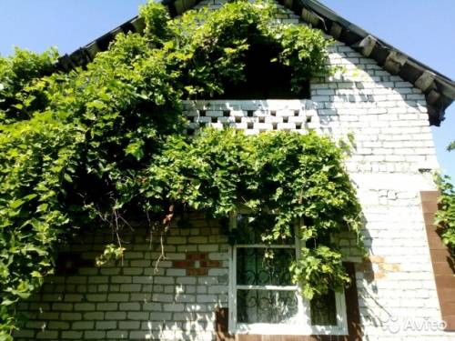 Продам дачу,в садовом Товариществе “Звезда“.