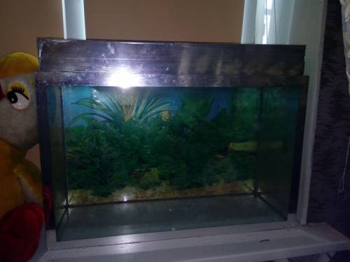 Продается аквариум 100л