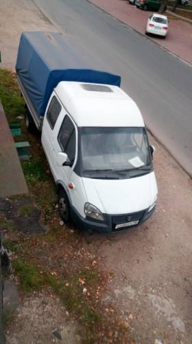Продаю газель фермер