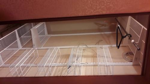 Сдам в аренду
