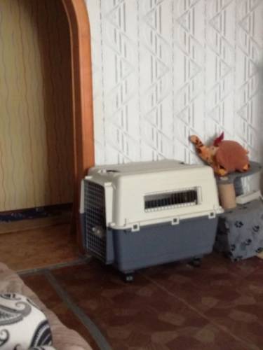 продам клетку для перевозки собаки