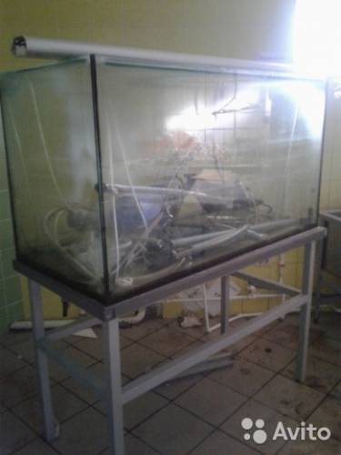 аквариум 650 литров.