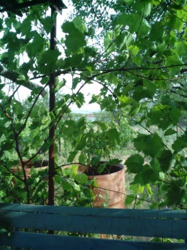 Продаю участок с видом на Азовский залив