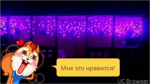 Отдых в бузулукском борк