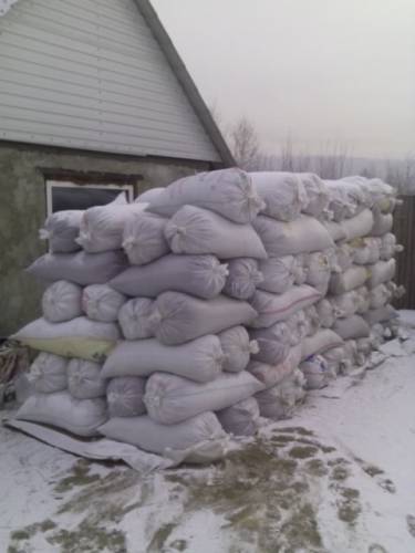 продам кедровый орех