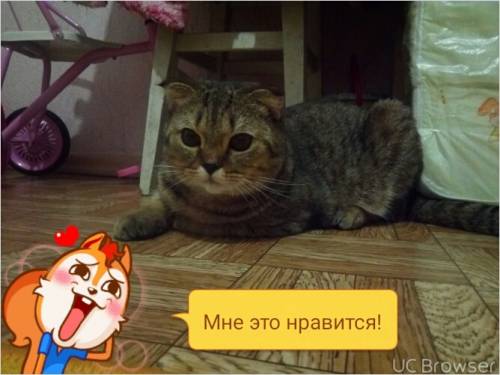 Отдам в хорошие руки