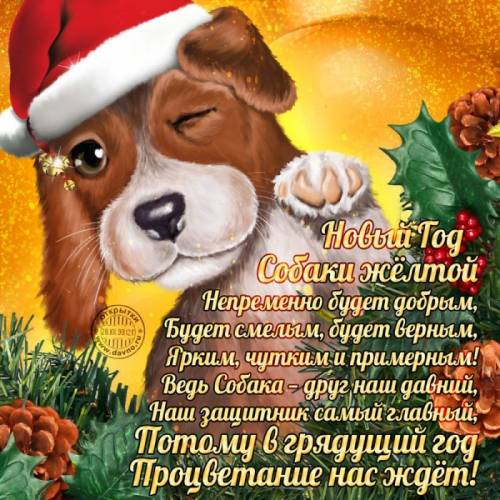 Вызов Деда Мороза!