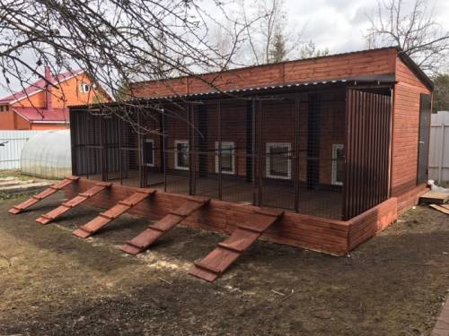 профессиональная передержка животных