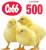 Инкубационное яйцо из Европы Кобб 500 и др.