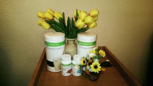Протеиновый коктейль Гербалайф Herbalife