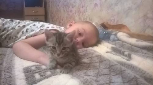 Бенгальского котенка 3 месяца 