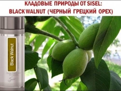 Витамины от паразитов и для укрепления иммунитета