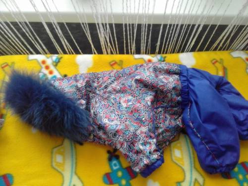 Продам вещи для маленьких собак 