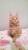 Клубные котятки мейн кун
