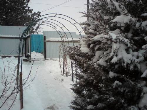 Продаю дачный участок с кирпичным домом 