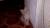 котята ищут хозяина
