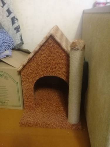 Дом для кошки