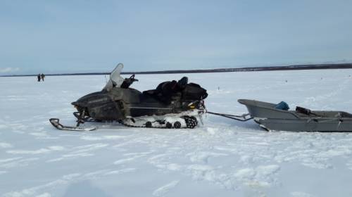 Снегоход Yamaha RSViking Professional