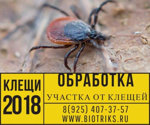 Обработка дачи,участка от клещей Руза-Единая справочная