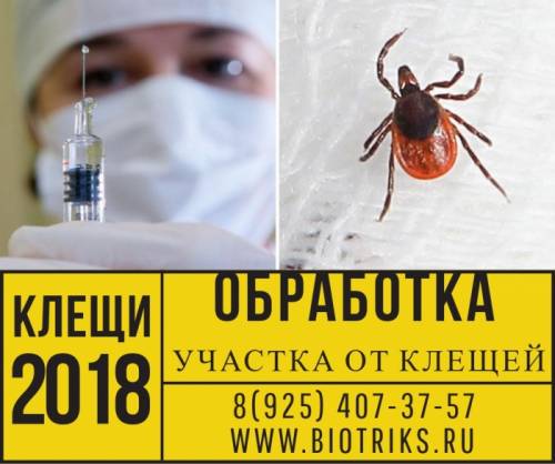 Акарицидная обработка от клещей Истра-цена строго фиксирована