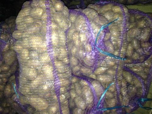 Продам картофель оптом.