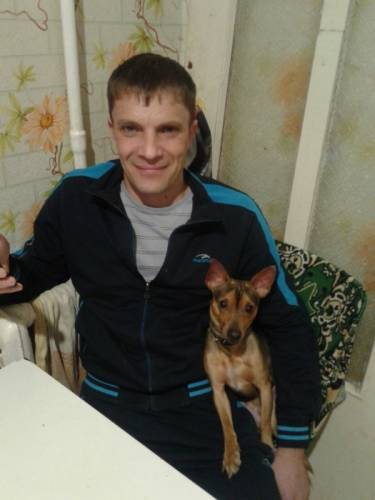 Одам  собаку