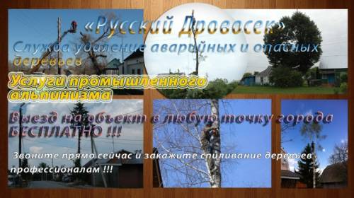 Спил, удаление, валка, аварийных деревьев