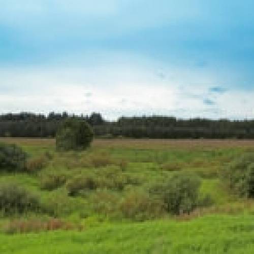 участок ИЖС 8 соток на берегу реки Полисть