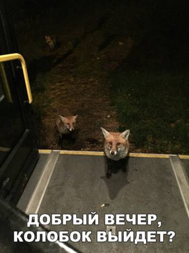 Грузчики  разнорабочие