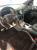  › Модель ­ Jeep Cherokee