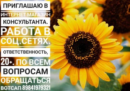 Требуются Консультанты
