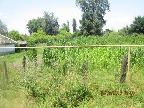 продам дом с земельным участком 