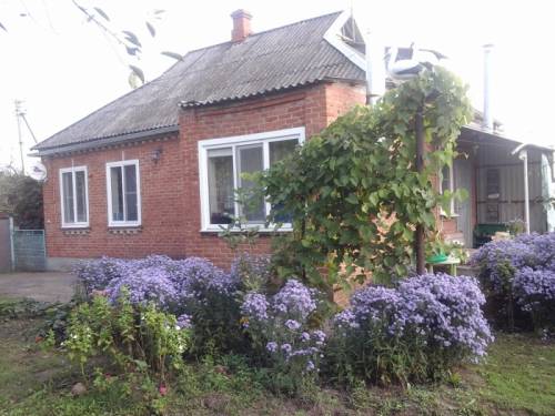 Дом в центре Агронома
