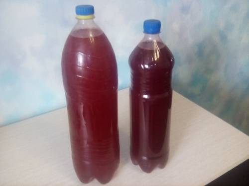 Сироп калины домашний продам