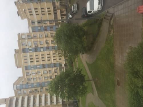 Делаю уборку квартир за деньги