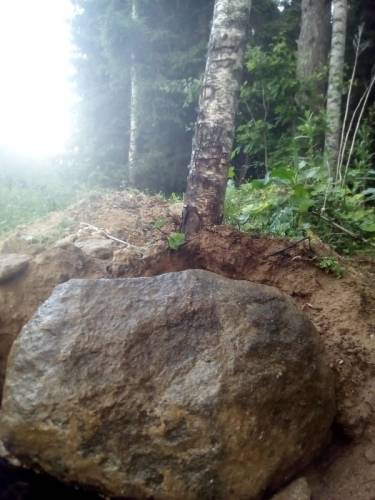 Валун для альпийской горки