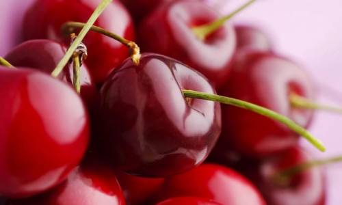 Вишня, собранная в экологически чистых местах Оренбуржья