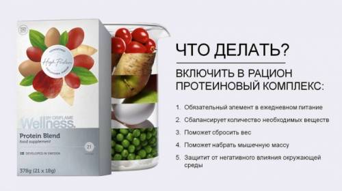 Протеиновый комплекс Wellness 378г.