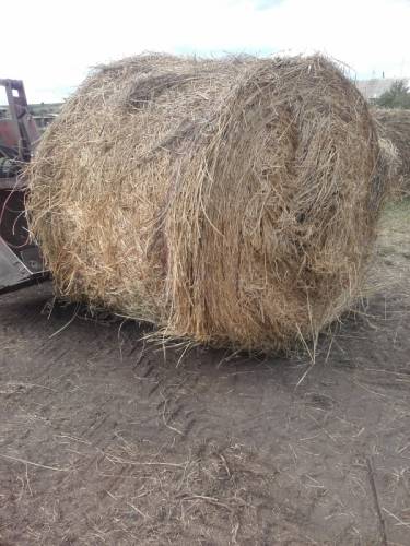 Продам сено в тюках
