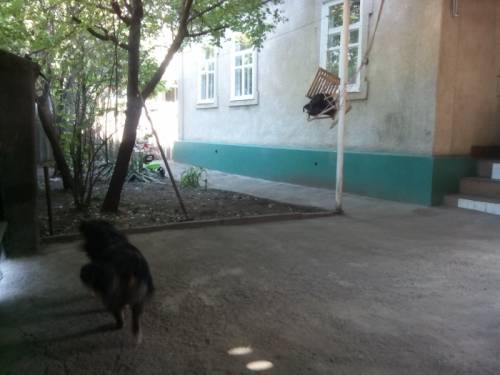 Дом с земельным участком.