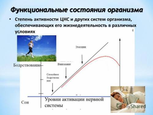 Комплексное оздоровление организма
