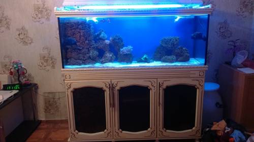 морской аквариум 450л